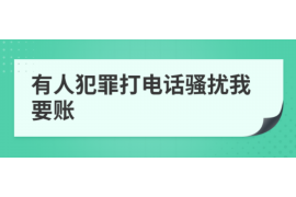 新野为什么选择专业追讨公司来处理您的债务纠纷？